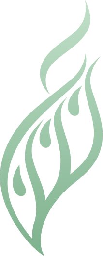 Al Shammaa the Herbalist