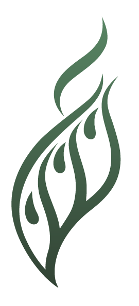 Al Shammaa the Herbalist